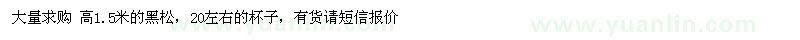 求购高1.5米黑松