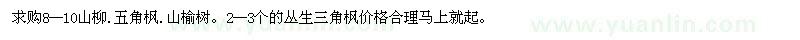 求购山柳、五角枫、山榆树