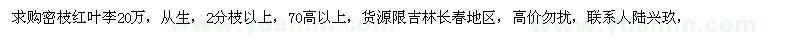 求购密枝红叶李20万 