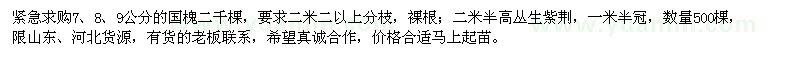 求购7、8、9公分国槐、高2.5米丛生紫荆