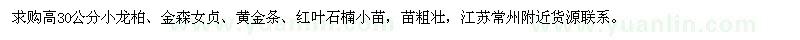 求购高30公分小龙柏、金森女贞、黄金条、红叶石楠小苗