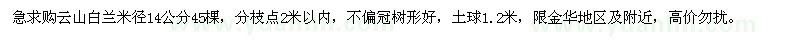 求购米径14公分云山白兰