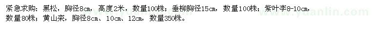 求购黑松、垂柳、紫叶李、黄山栾树