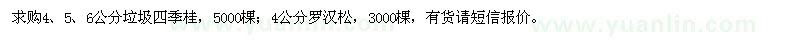 求购4、5、6公分垃圾四季桂、4公分罗汉松