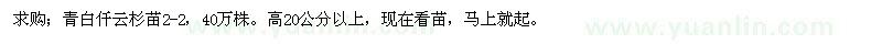 求购高20公分以上青白仟云杉苗