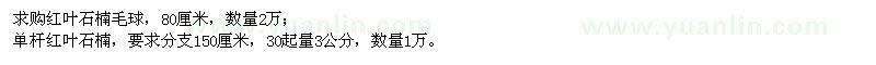 求购红叶石楠毛球、单杆红叶石楠