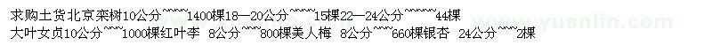 求购北京栾树、红叶李、美人梅