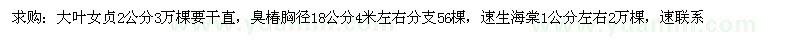 求购大叶女贞、臭椿、速生海棠 