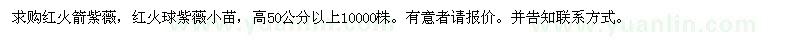 求购红火箭紫薇、红火球紫薇小苗