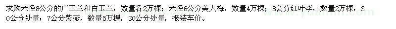 求购广玉兰、白玉兰、美人梅