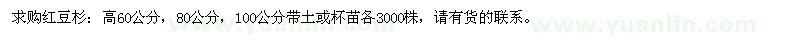 求购高60、80、100公分红豆杉