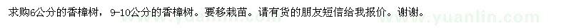 求购6公分香樟树、9-10公分香樟树