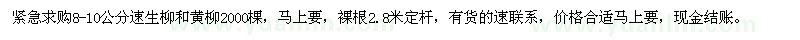 求购8-10公分速生柳、黄柳