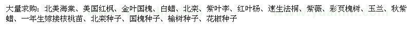 求购北美海棠、美国红枫、金叶国槐