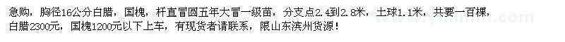 求购胸径16公分白蜡、国槐