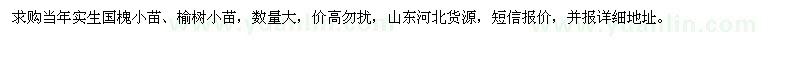 求购当年实生国槐小苗、榆树小苗