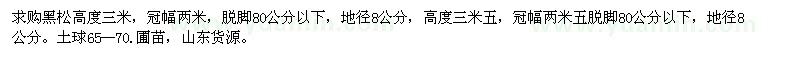 求购高3、3.5米黑松