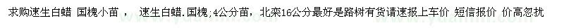 求购速生白蜡国槐小苗