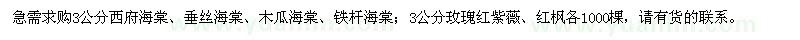 求购西府海棠、垂丝海棠、木瓜海棠、铁杆海棠等