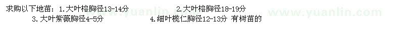 求购大叶榕、大叶紫薇、细叶揽仁