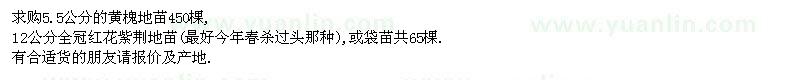 求购5.5公分黄槐、12公分全冠红花紫荆