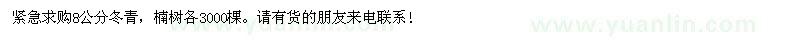 求购冬青、楠树