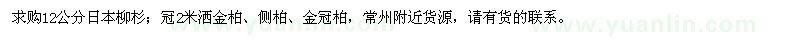 求购日本柳杉、洒金柏、侧柏、金冠柏