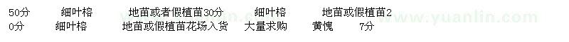 求购细叶榕、黄愧、秋风