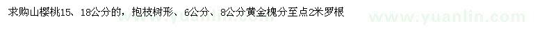 求购山樱桃、黄金槐