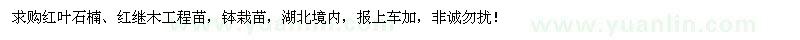 求购红叶石楠、红继木工程苗