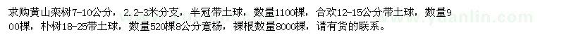 求购黄山栾树、合欢、朴树、意杨