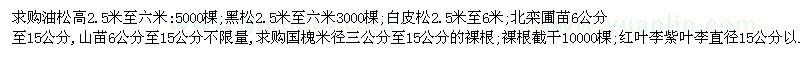 求购油松、黑松、白皮松等