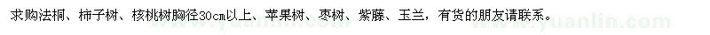 求购法桐、柿子树、苹果树