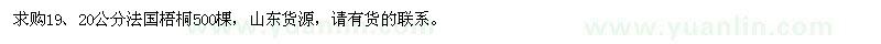 求购19、20公分法国梧桐