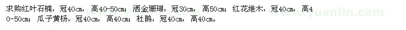 求购红叶石楠、洒金珊瑚、红花继木、瓜子黄杨、杜鹃