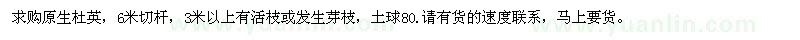 求购18公分以上野生杜英