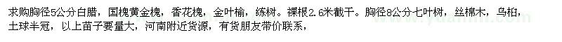 求购白蜡、国槐、黄金槐、七叶树等