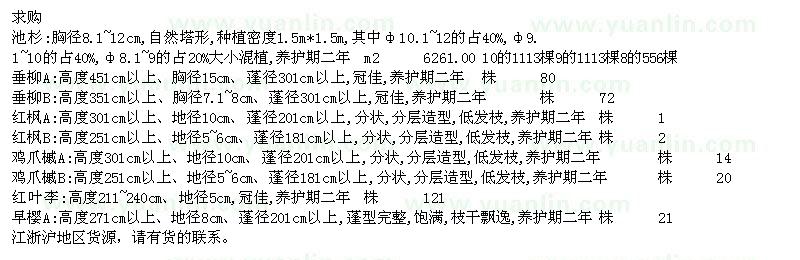 求购垂柳、红枫、鸡爪槭等