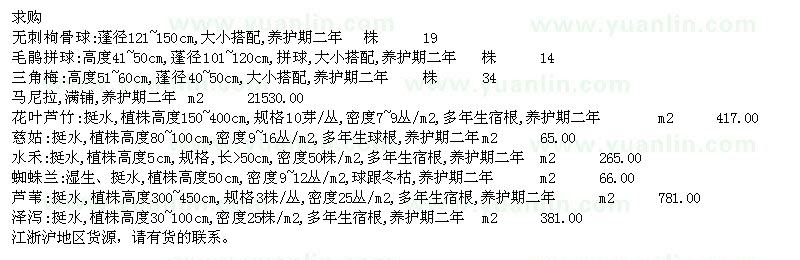 求购无刺枸骨球、毛鹃球、马尼拉等