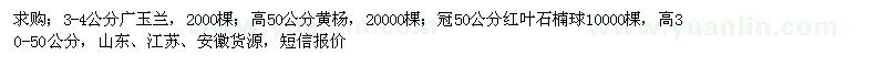 求购广玉兰、黄杨、红叶石楠球