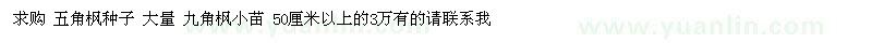 求购五角枫种子、九角枫小苗