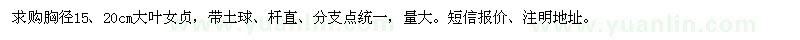 求购胸径15、20公分大叶女贞