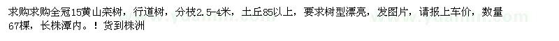 求购15公分全冠黄山栾树