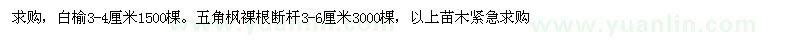 求购白榆、五角枫