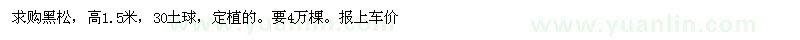 求购高1.5米黑松