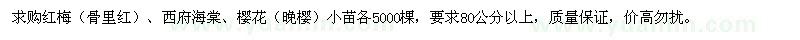 求购红梅、西府海棠、樱花