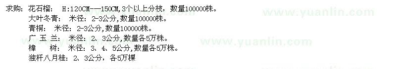 求购花石榴、大叶冬青、青桐、八月桂、广玉兰、樟树