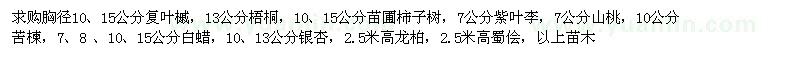 求购复叶槭、梧桐、柿子树