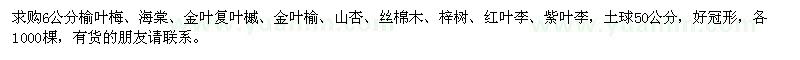 求购6公分榆叶梅、海棠、金叶复叶槭