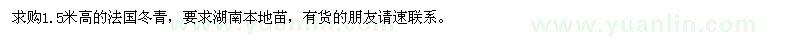 求购高1.5米法国冬青